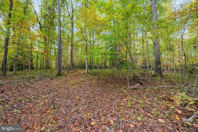 0 Dreamland Rd unit B VACU2006336, Jeffersonton, VA 22724 - photo 3