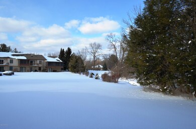 6970 E Springtree Ln SW unit 16, Grand Rapids, MI 49548 - photo 3