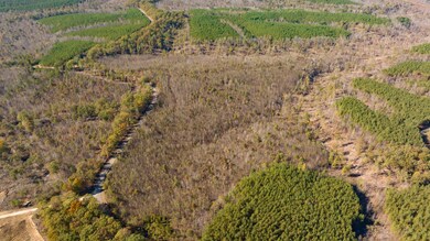 0 Old Highway 18 unit RTC2649682, Stewart, TN 37175 - photo 5