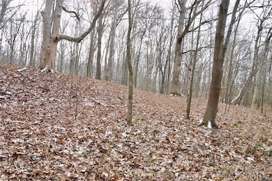 00 N Maysville Ln, Mount Vernon, IL 62864 - photo 2