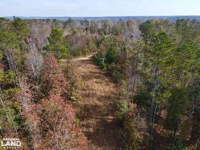 0 Highway 69 unit 25684021, Jackson, AL 36524 - photo 6