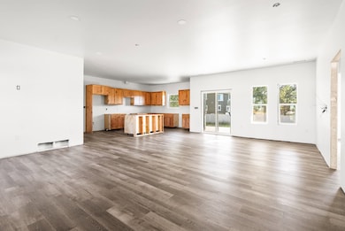Living room and kitchen