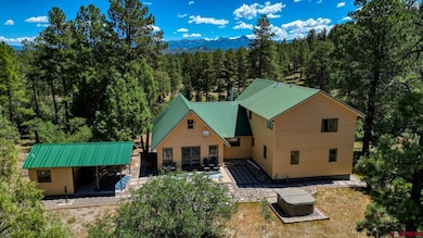 569 Eight Mile Loop, Pagosa Springs, CO 81147 - photo 3