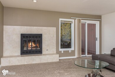 Fireplace in Living Room