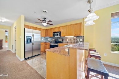 1410 Hurley Dr unit 601, Sevierville, TN 37862 - photo 7