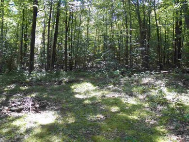 20 Toby Hill Rd, Newfane, VT 05345 - photo 5