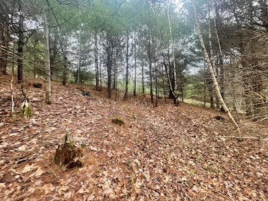 1911 Haselton Rd, Wilmington, NY 12997 - photo 7