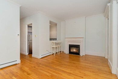 53 Rutland St unit 2, Boston, MA 02118 - photo 3