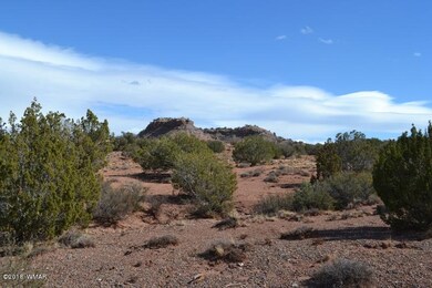 DSC_0407 (800x533)