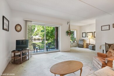 111 N Larch Ave unit 208, Elmhurst, IL 60126 - photo 3