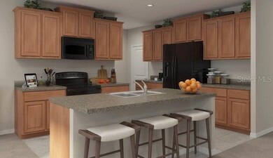 8705 Parsons Hill Blvd, Wesley Chapel, FL 33545 - photo 2