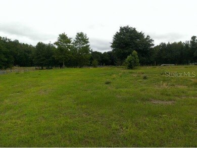 7051 SE 210 Ave, Morriston, FL 32668 - photo 3