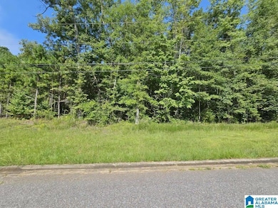 Lot 5 Woodhaven Dr, Pell City, AL 35128 - photo 3
