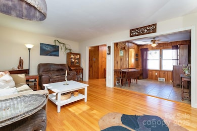 1115 Bee Tree Rd, Swannanoa, NC 28778 - photo 7