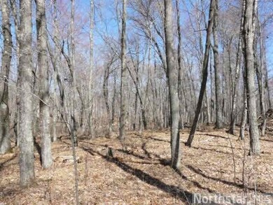0 Lot 8 Moser Dr unit 4597966, Webster, WI 54893 - photo 6