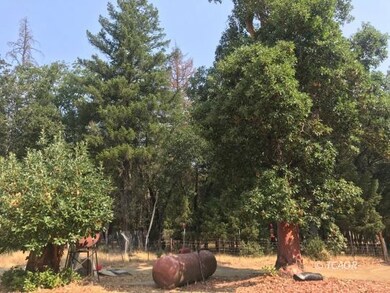 unlisted-address, Hayfork, CA 96041 - photo 6