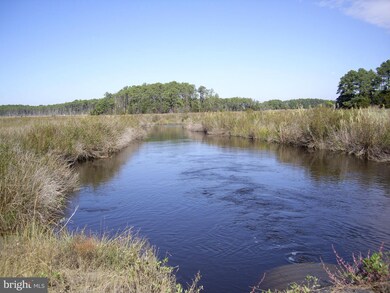 2734 Bishops Head Rd, Toddville, MD 21672 - photo 5