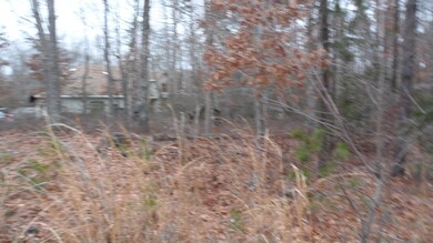 12 Angela Dr, Little Egg Harbor Township, NJ 08087 - photo 3