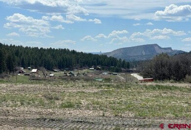 10179 W U S Highway 160, Pagosa Springs, CO 81147 - photo 2