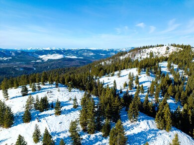 NHN Elk Creek - McGinnis Meadows Road Section 11, Libby, MT 59923 - photo 4