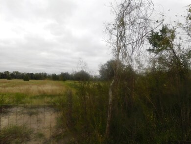 0 Cr 380, Rosharon, TX 77583 - photo 2