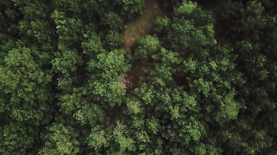 3490 Tidwell Rd, Lizella, GA 31052 - photo 2