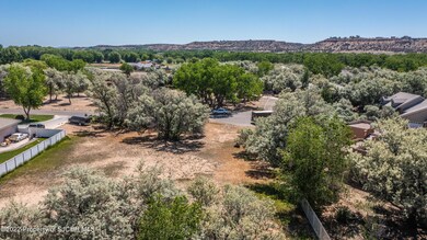 4283 Rancho de Animas Dr, Farmington, NM 87402 - photo 5