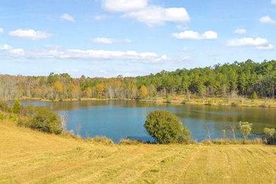 23824 Georgia 22, Sparta, GA 31087 - photo 4