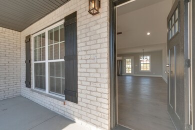 516 Rose Ln, Shelbyville, TN 37160 - photo 4