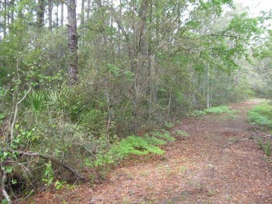 LT 20 Pine Hill Rd, Crescent, GA 31304 - photo 2