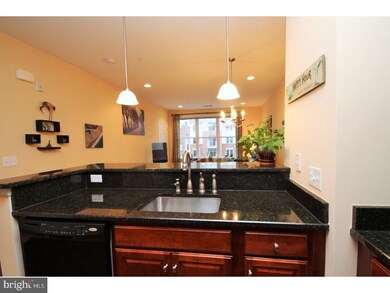 300 W Elm St unit 2305, Conshohocken, PA 19428 - photo 5