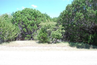 8124 High Mesa Dr, Whitney, TX 76692 - photo 4