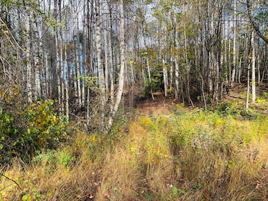 TBD Red Roof Ln, Laurel Fork, VA 24352 - photo 5