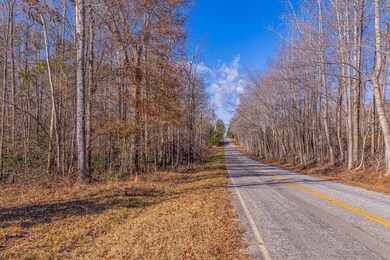 225 Frontier Rd, Enoree, SC 29335 - photo 4