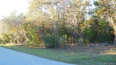 1315 E Hobart Ln, Hernando, FL 34442 - photo 2