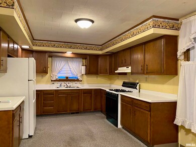 906 Peoria St, Lincoln, IL 62656 - photo 7