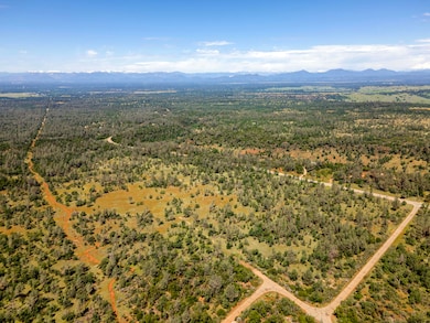 Bird’s-Eye of Open Acreage