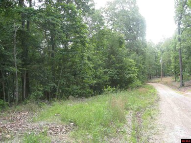 0 Diamond Bay Rd, Union Township, AR 72531 - photo 2