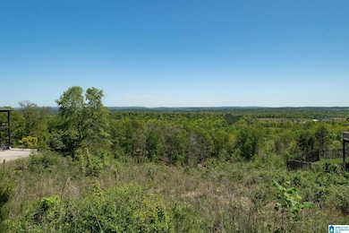 1776 Southpointe Dr unit 35, Hoover, AL 35244 - photo 7