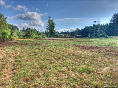 1431 E Benson Loop Rd, Shelton, WA 98584 - photo 4
