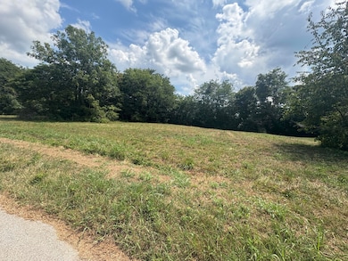 110 Harvey Ave, Walnut Grove, KY 42501 - photo 4