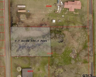 TBD Fm 1799, Alba, TX 75410 - photo 2