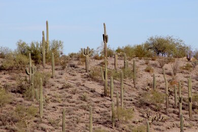 IMG_0671