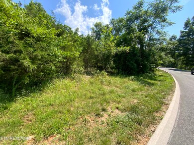 0 Eagles Ridge unit 1305145, New Tazewell, TN 37825 - photo 3