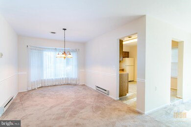 5785 Box Elder Ct, Frederick, MD 21703 - photo 5