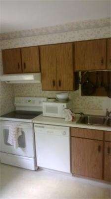 121 Bailey St unit B16, Worcester, MA 01602 - photo 4