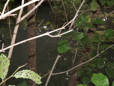 9515 Bethel Rd, Prospect, TN 38477 - photo 6