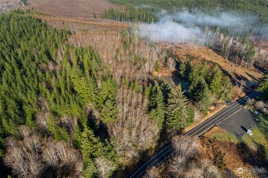 295 Butte Creek Rd, Raymond, WA 98577 - photo 5