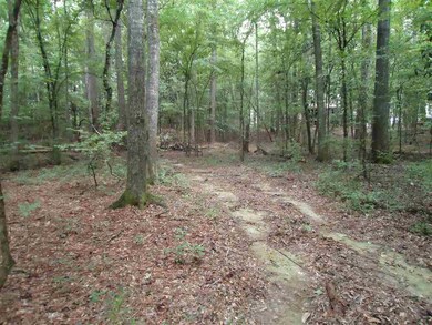 0 Highway 472 unit 1321431, Georgetown, MS 39078 - photo 4