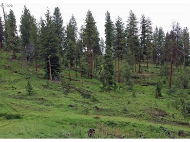 0 Bear Creek Elk unit 20026010, Prairie City, OR 97869 - photo 7